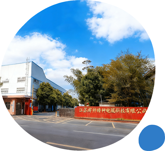 Jiangsu Junshuai Special Cable Technology Co., Ltd.
